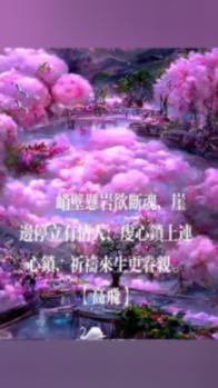 情感咨询在线聊天